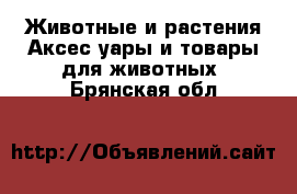 Животные и растения Аксесcуары и товары для животных. Брянская обл.